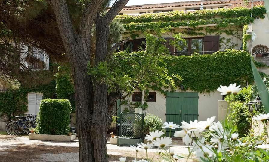 Residence Les Mandariniers Ιέρ Εξωτερικό φωτογραφία